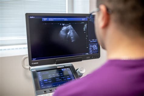 ultrazvuková diagnostika maternice