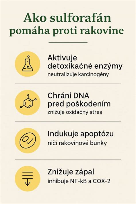 Infografika zobrazujúca správny postup pri rekonštitúcii a skladovaní antibiotickej suspenzie
