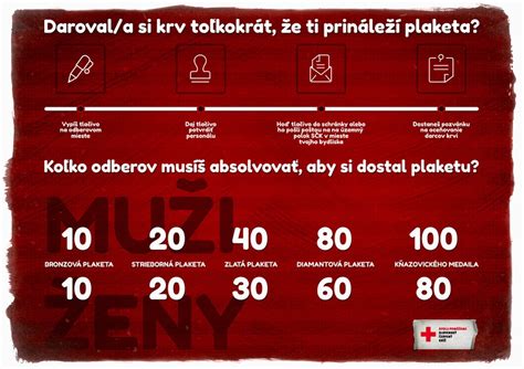 infografika procesu darovania krvi od odberu po transfúziu