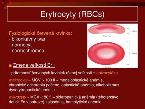 diagram rozdelenia krvnej jednotky na zložky (erytrocyty, plazma, doštičky)