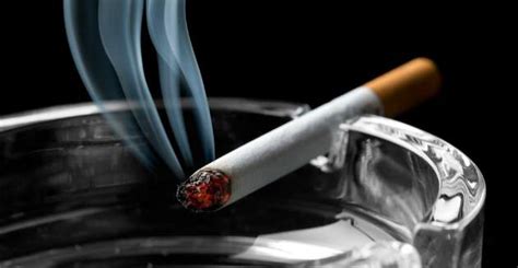Dym a cigarety - škodlivosť pre zdravie