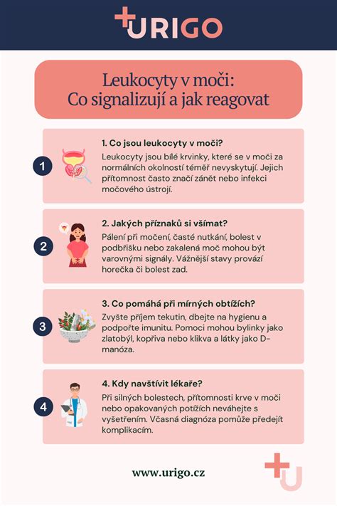 Infografika 
