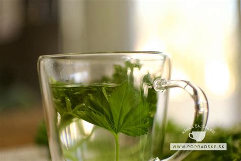 Fľaša vody a pohár s bylinkovým čajom