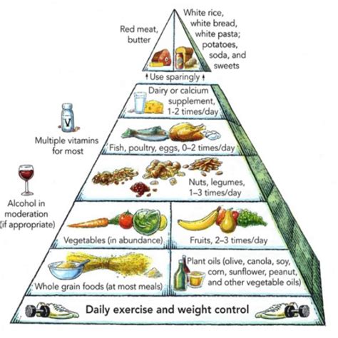 Všeobecná pyramída zdravej výživy
