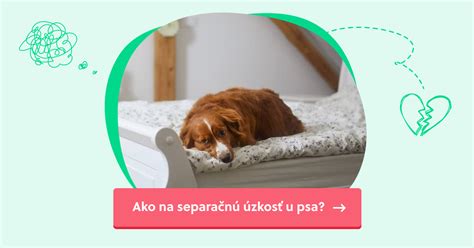 Zamyšlená dospelá osoba, symbolizujúca separačnú úzkosť u dospelých