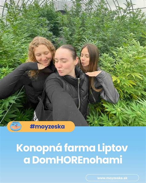 Schéma tvárových abnormalít pri fetálnom alkoholovom syndróme