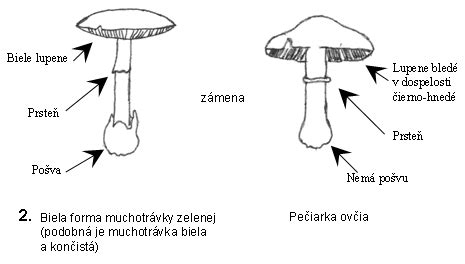 Rozdiel medzi febrilnými kŕčmi a synkopou