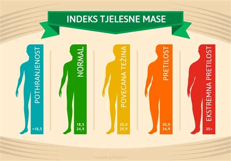 Infografika zobrazujúca BMI a jeho vplyv na plodnosť