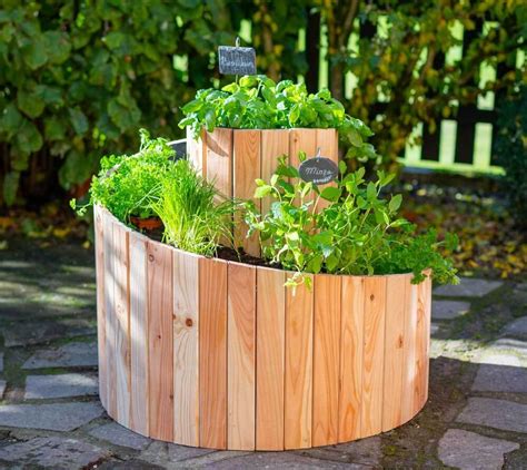 Obrázok rôznych byliniek