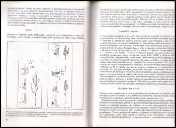 Evolúcia rastlín od výtrusných po semenné