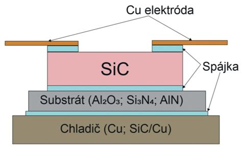 Schématické znázornenie dvojitého oplodnenia