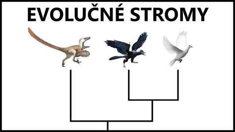 Evolučný strom vtákov a plazov