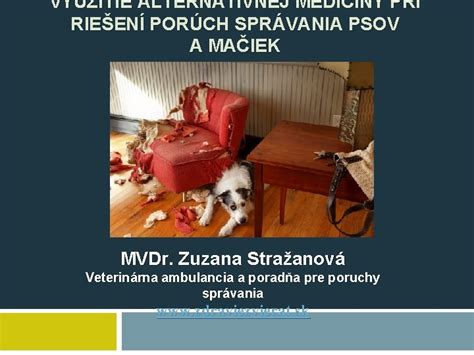Spektrum porúch správania