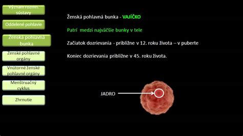 Zdravé ženské reprodukčné orgány