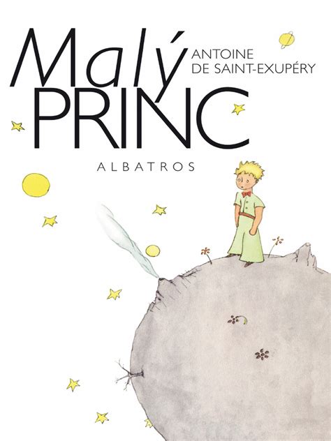 Malý princ a záhrada ruží