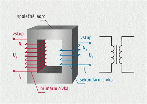 Schematický nákres vplyvu hormónov na maternicu