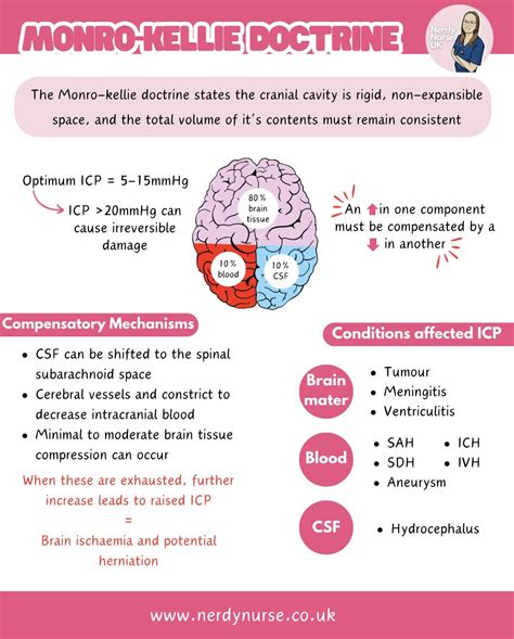 Infografika Monro-Kellie doktríny