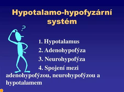 hypotalamo-pituitárna-ovariálna os