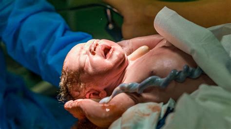 Placenta po pôrode