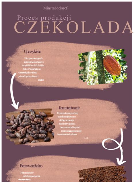 Infografika: Social freezing proces
