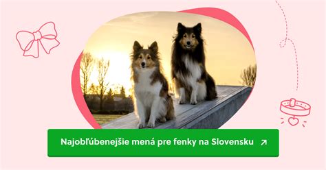 Príprava pôrodnej bedne pre fenku