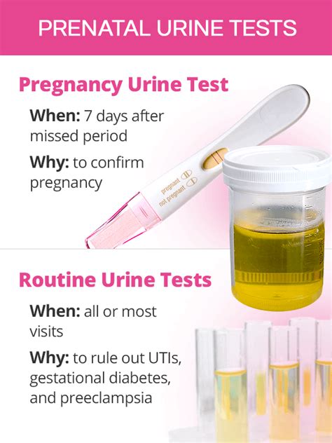 Comparison of blood and urine pregnancy test results
