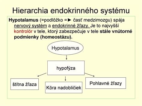 Os hypotalamus-hypofýza-semenníky