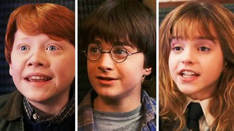 Harry, Ron a Hermiona v dospelosti