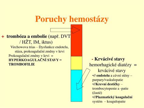 Schéma hemostázy - zrážanie krvi