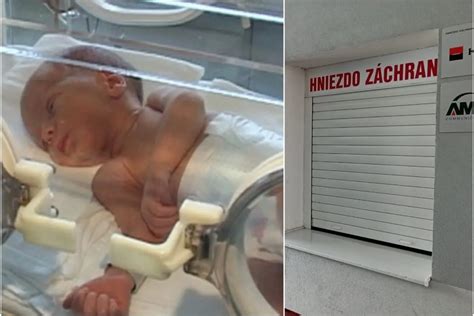 Dieťa rastúce v hniezde a prechod na mantinely