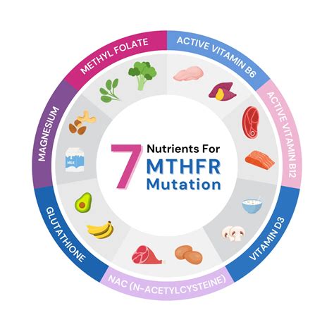 Vizualizácia metabolického cyklu metylácie a vplyvu mutácie MTHFR
