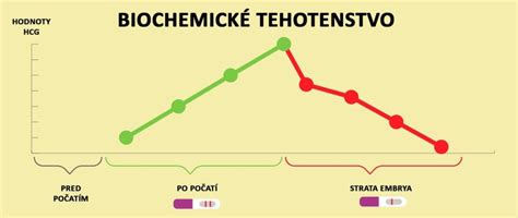 Štruktúra hormónu hCG a jeho podjednotky