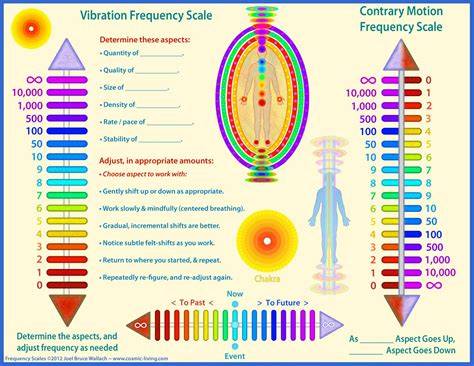 Life path and vibrational cycles diagram