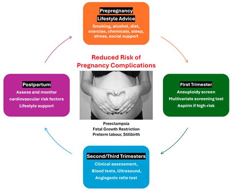 Flowchart of risk factors in pregnancy