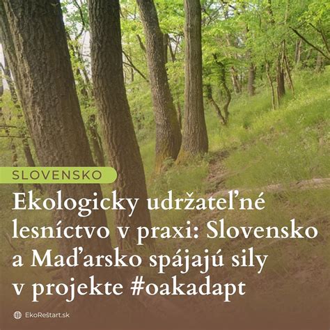 Zobrazenie symboliky života a duchovného rastu v súvislosti s prenatálnym vývojom