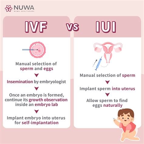 Rozdiel medzi IVF a IUI