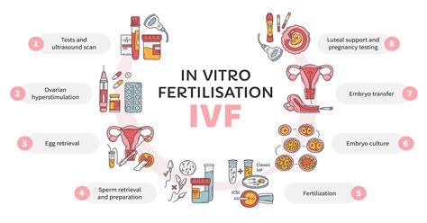 IVF Indications and Preparation
