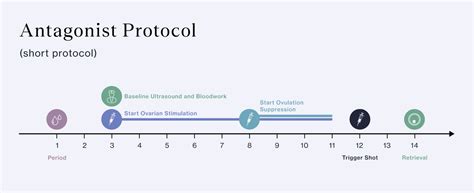 Short Protocol Timeline