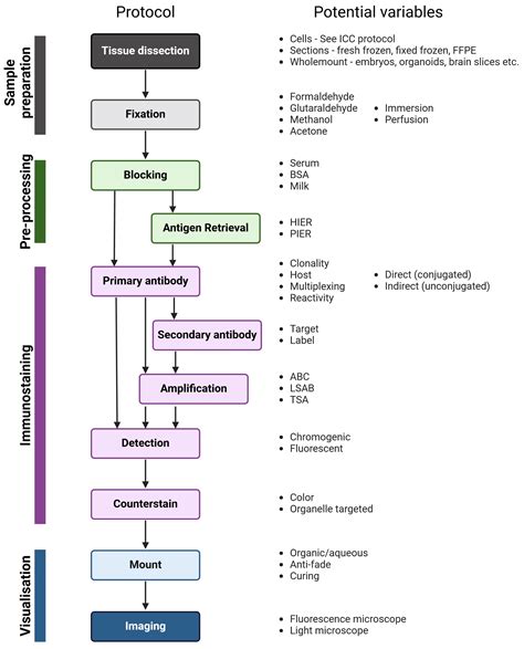 Long Protocol Steps