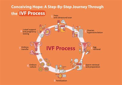 IVF: Hope and Journey