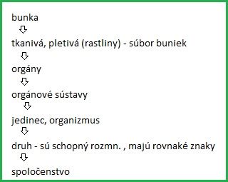 Základné vlastnosti živých sústav