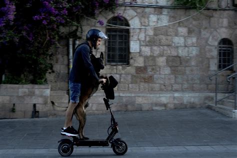 Zranenie syna Tristana po páde z kolobežky a reakcia rodičov