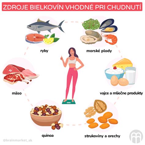 Zdroje bielkovín a ich úloha