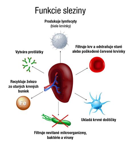 Infografika znázorňujúca funkcie a ciele kazuistiky