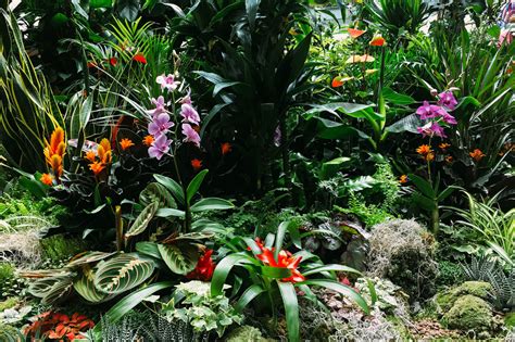 Exotické rastliny v botanickej záhrade Zürich