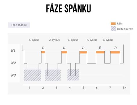 Fázy spánku u detí a dospelých