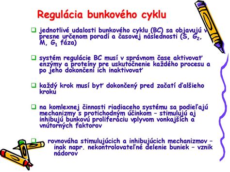 Vizualizácia bunkového cyklu