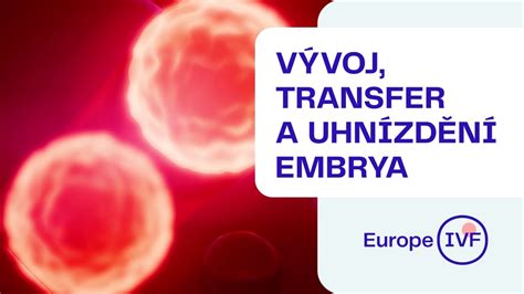 Proces implantácie embrya