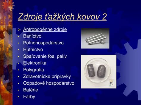 Infografika o ukladaní ťažkých kovov v mozgu