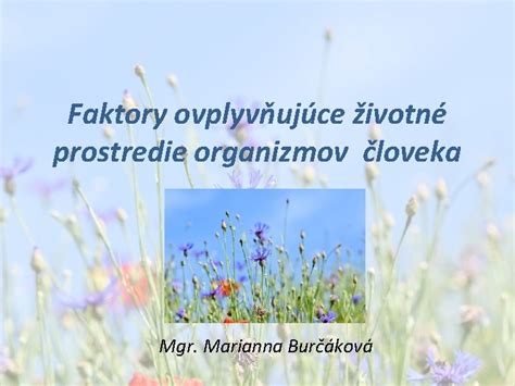 Infografika: Faktory ovplyvňujúce zdravie placenty